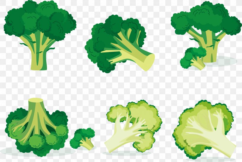 Broccoli Euclidean Vector Vegetable, PNG, 2030x1362px, Broccoli, Brassica Oleracea, Food, Grass, Green Download Free