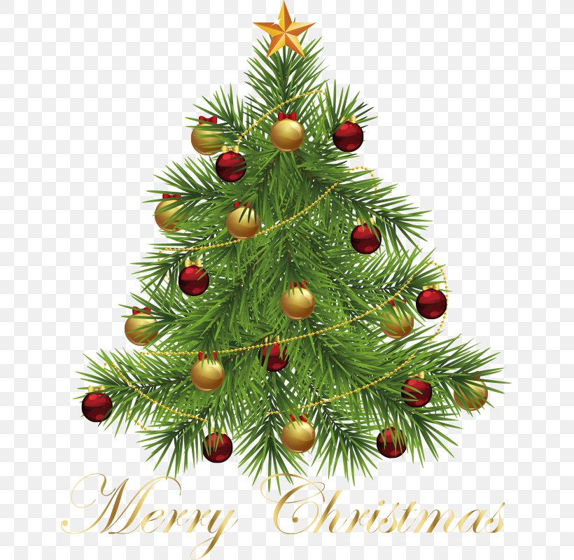 Christmas Tree Christmas Ornament Clip Art, PNG, 800x800px, Christmas Tree, Artificial Christmas Tree, Christmas, Christmas Decoration, Christmas Ornament Download Free