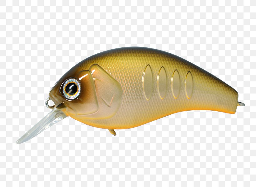 Korrigan Spoon Lure Fishing Baits & Lures 株式会社デプス, PNG, 800x600px, Korrigan, Amazoncom, Bait, Bony Fish, Cartuccia Magnum Download Free