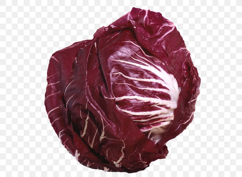 Red Cabbage Lettuce Vegetable Kale, PNG, 560x600px, Cabbage, Brassica Oleracea, Chicory, Collard Greens, Food Download Free
