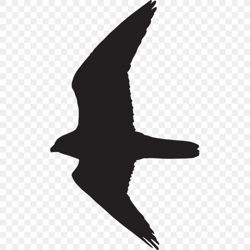 Bird Silhouette Prairie Falcon, PNG, 1024x1024px, Bird, American Kestrel, Beak, Black And White, Doves As Symbols Download Free