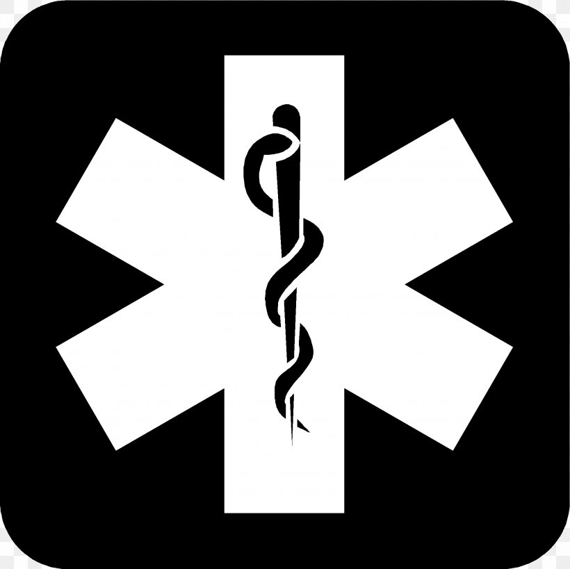 Paramedic Emergency Medical Services Emergency Medical Technician Firefighter Star Of Life, PNG, 2048x2047px, Paramedic, Air Medical Services, Area, Black And White, Brand Download Free