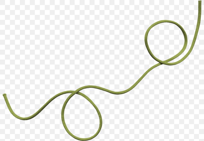 Rope Download Green, PNG, 800x568px, Rope, Brand, Designer, Google Images, Green Download Free