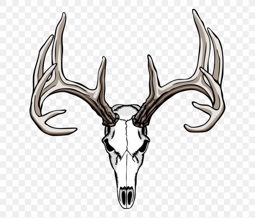 White-tailed Deer Elk Antler Clip Art, PNG, 1075x921px, Whitetailed Deer, Antelope, Antler, Blacktailed Deer, Deer Download Free