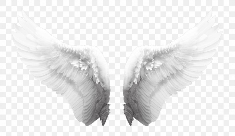 Angel Poster Drawing Heaven, PNG, 1024x594px, Angel, Angelologia, Archangel, Beak, Black And White Download Free