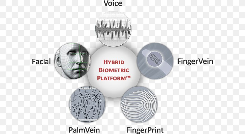 Biometrics M2SYS Technology Iris Recognition Automatic Identification And Data Capture, PNG, 604x450px, Biometrics, Authentication, Brand, Button, Computer Software Download Free