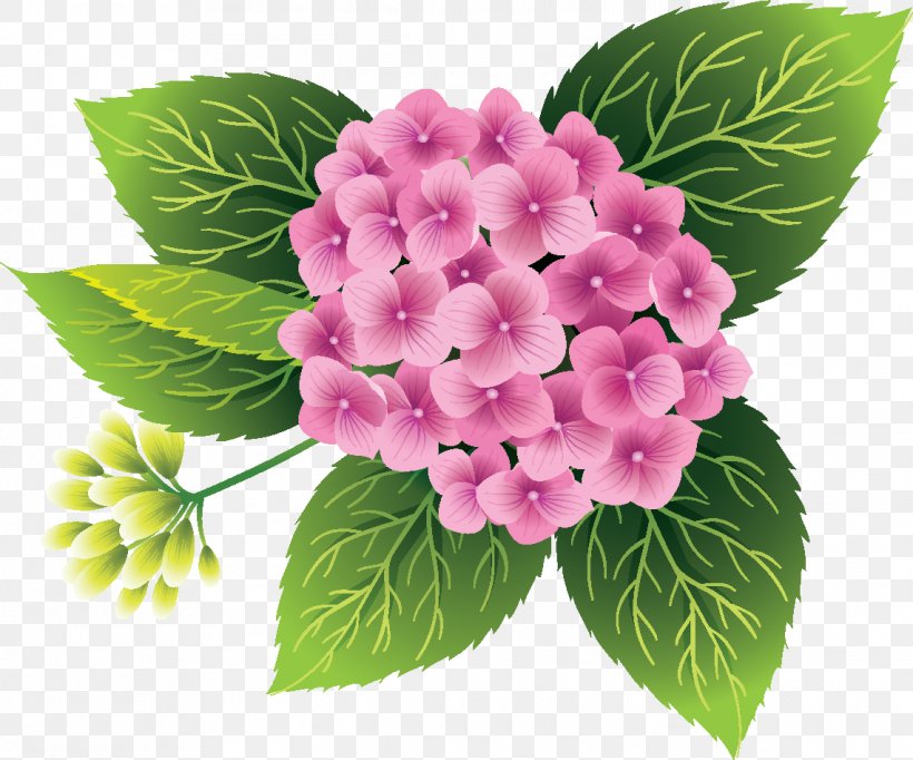 Flower Bouquet Hydrangea Clip Art, PNG, 1141x949px, Flower, Annual Plant, Cornales, Flower Bouquet, Flowering Plant Download Free