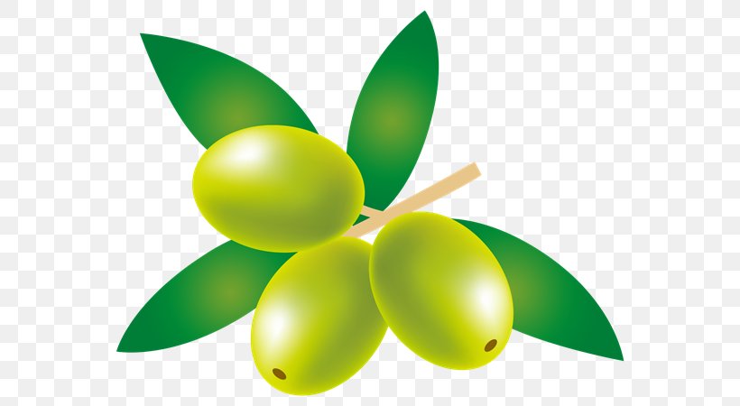 Green Olive Leaf Fruit Plant, PNG, 600x450px, Green, Automotive Wheel System, Fruit, Leaf, Logo Download Free