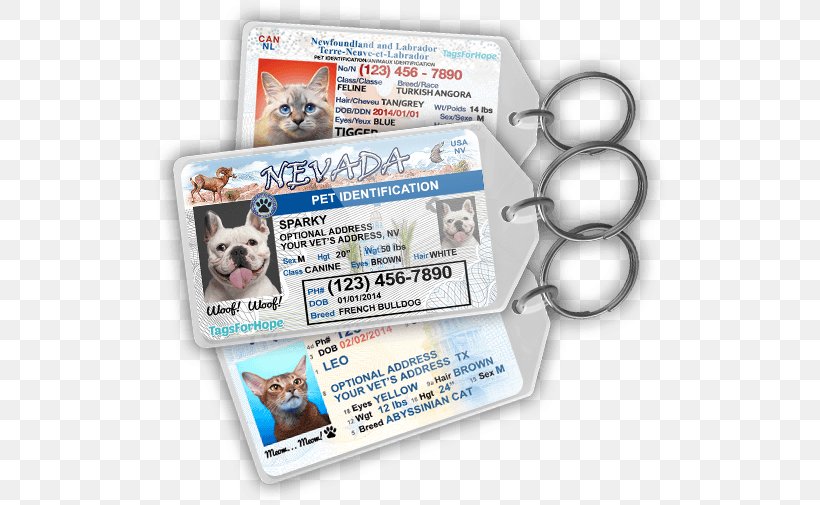 Dog Cat Puppy Pet Tag, PNG, 516x505px, Dog, Animal, Animal Rescue Group, Cat, Collar Download Free