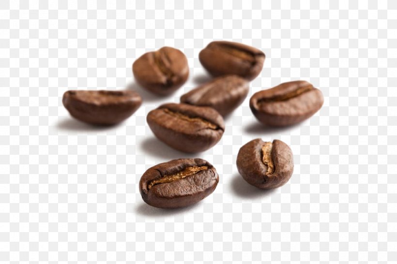 Instant Coffee Green Tea Milk, PNG, 1000x666px, Coffee, Arabica Coffee, Bean, Cocoa Bean, Coffee Bean Download Free