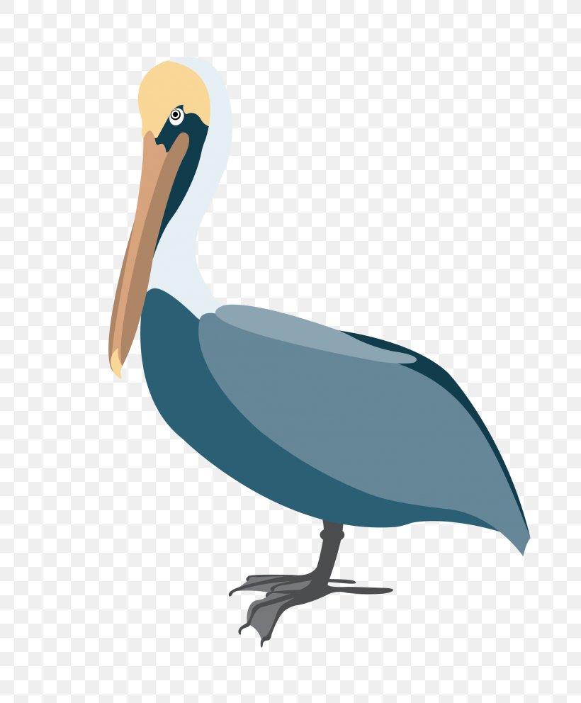 Pelican Clip Art Vector Graphics Image, PNG, 768x992px, Pelican, Beak, Bird, Cajuns, Drawing Download Free