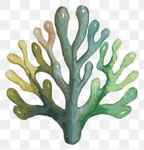 Coral Tree - Green Coral Illustration PNG