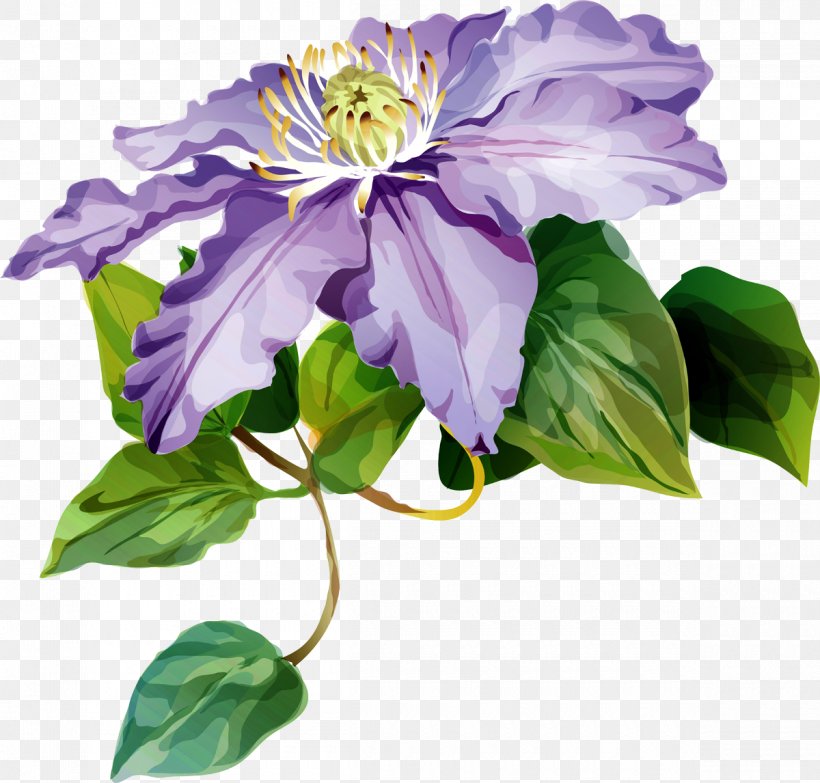 Leather Flower Cut Flowers Purple Petal, PNG, 1200x1146px, Leather Flower, Annual Plant, Clematis, Cut Flowers, Flower Download Free