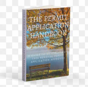 Tree - City Of Whitehorse Treeincarnation City Of Yarra City Of Glen Eira PNG