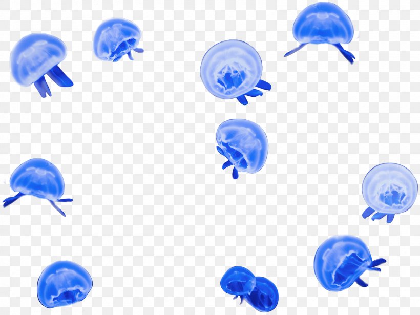 Marine Invertebrates Jellyfish Shark Blue, PNG, 1600x1200px, Marine Invertebrates, Astrological Sign, Blue, Fish, Invertebrate Download Free