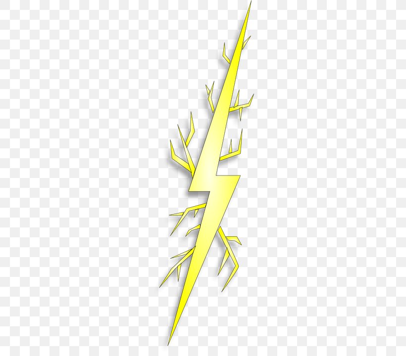 Drawing Lightning Clip Art, PNG, 360x720px, Drawing, Blog, Computer, Grass, Leaf Download Free