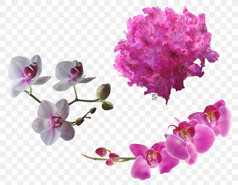 Flower DeviantArt, PNG, 1024x793px, Flower, Art, Blossom, Cherry Blossom, Cut Flowers Download Free