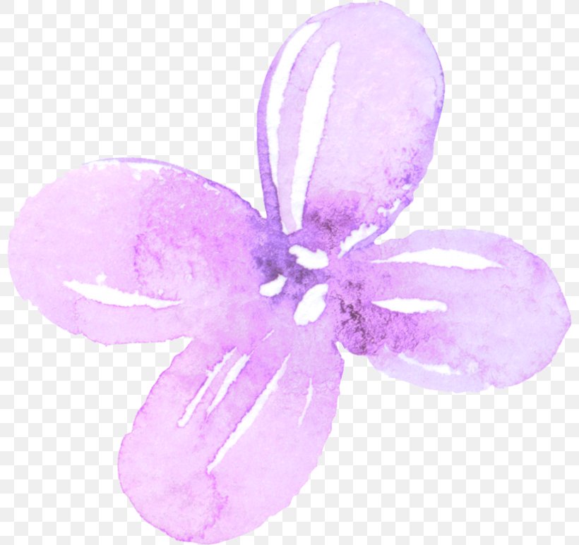 Petal Lilac Image Watercolor Painting, PNG, 800x773px, Petal, Color, Flower, Lilac, Magenta Download Free