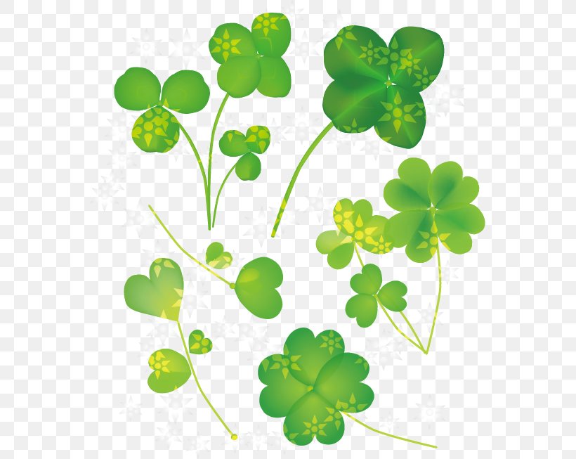 Word Four-leaf Clover Adibide, PNG, 563x653px, Word, Adibide, Branch, Cdr, Clover Download Free