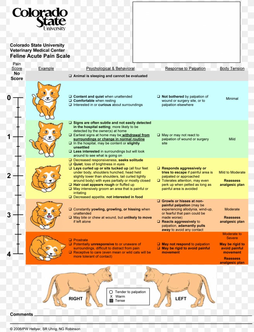 Cat Pain Scale Dog Pain Management, PNG, 917x1200px, Cat, Acute Pancreatitis, Area, Coma, Disease Download Free