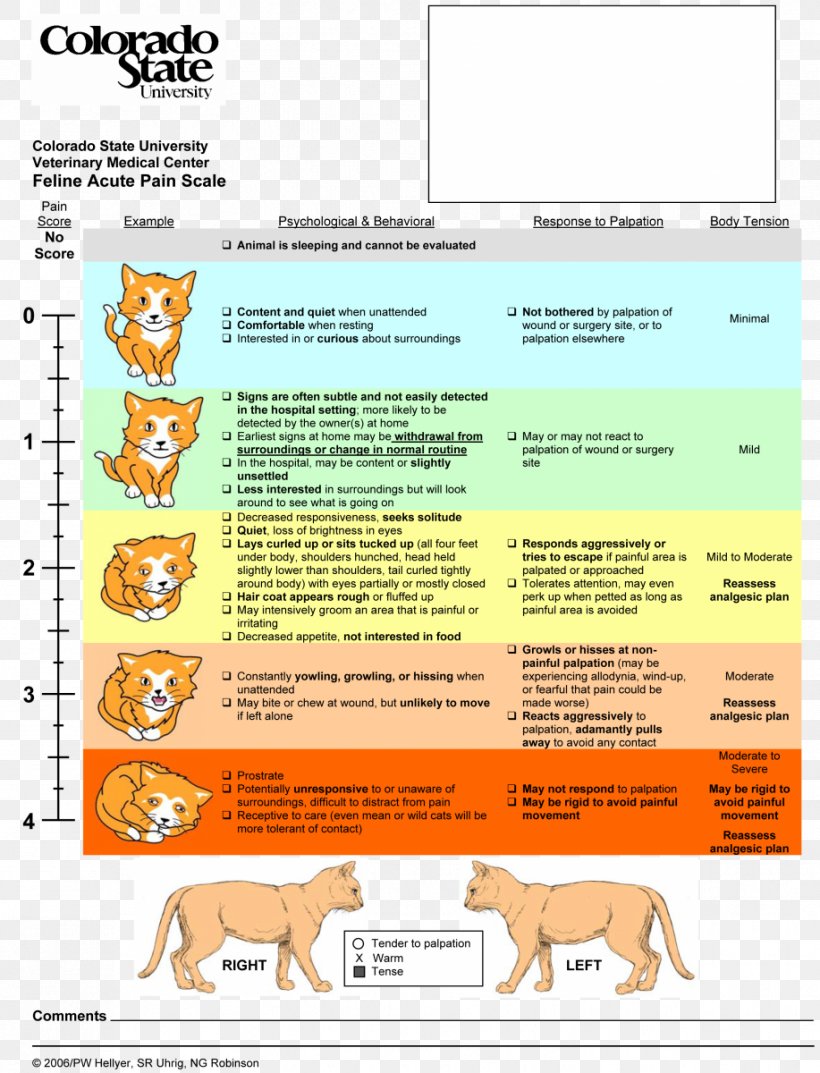 Printable Veterinary Pain Score Chart