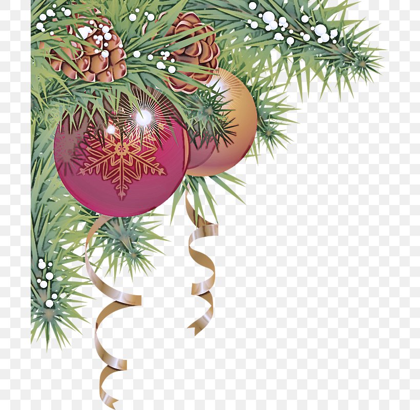 Christmas Ornament, PNG, 699x800px, Oregon Pine, Branch, Christmas, Christmas Decoration, Christmas Ornament Download Free