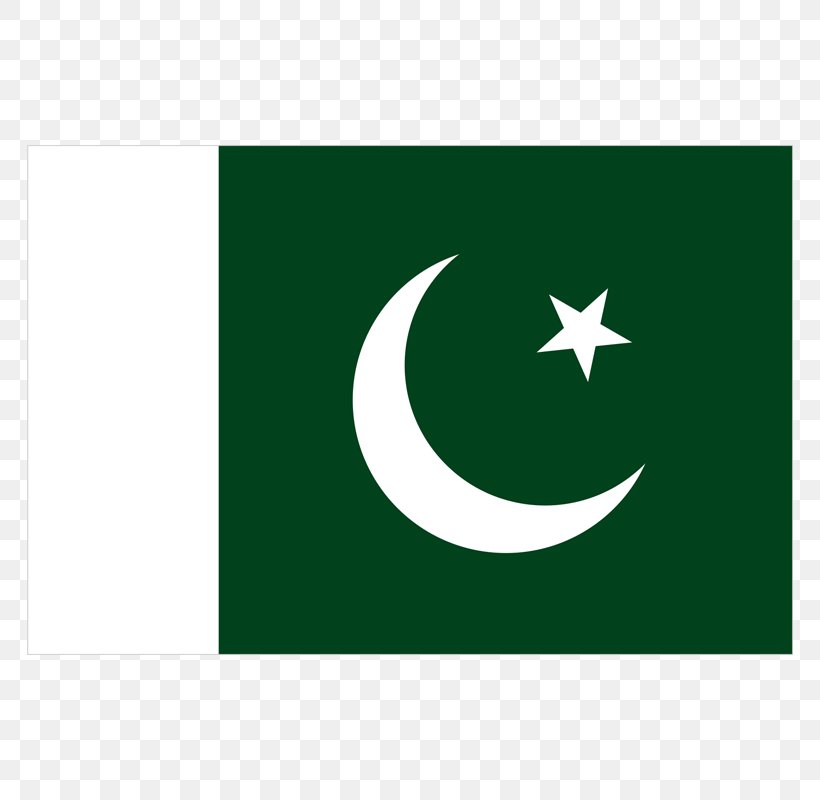 Flag Of Pakistan National Flag Flag Of Argentina State Bank Of Pakistan, PNG, 800x800px, Flag Of Pakistan, Brand, Crescent, Flag, Flag Of Argentina Download Free