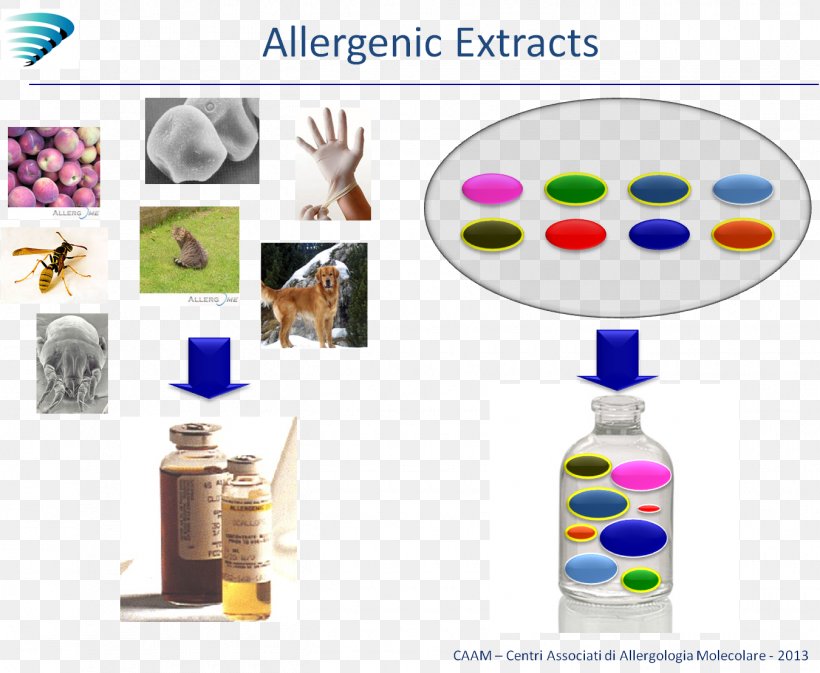 Molecular Biology Biotechnology Allergen Allergology, PNG, 1350x1108px, Molecular Biology, Allergen, Allergology, Allergy, Allergy Test Download Free