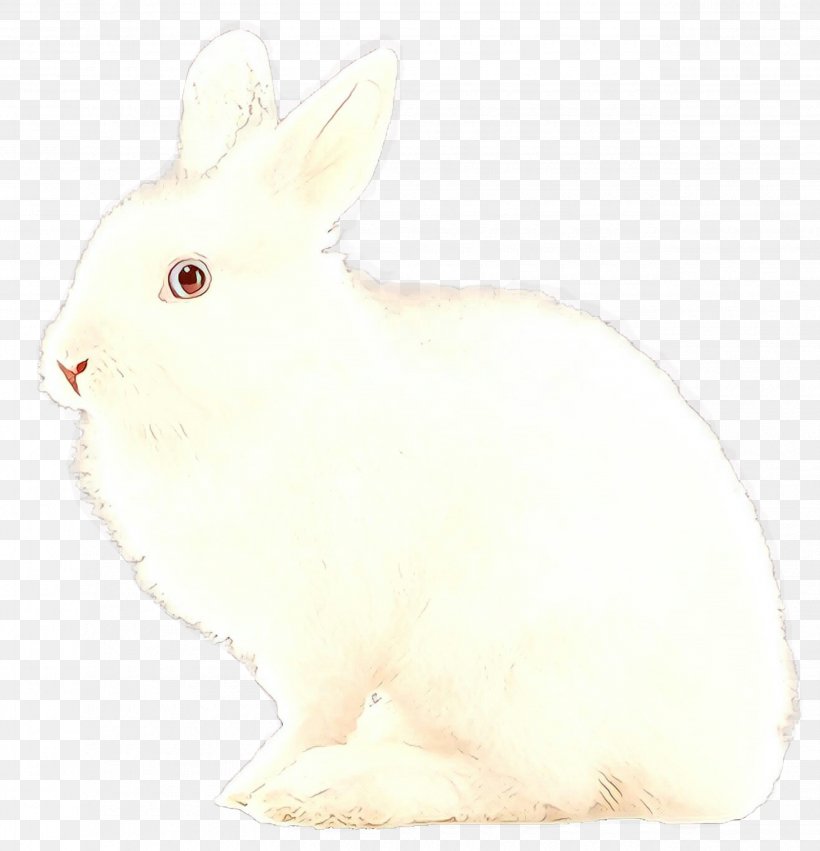 Rabbit Rabbits And Hares White Domestic Rabbit Hare, PNG, 2550x2649px, Cartoon, Animal Figure, Arctic Hare, Beige, Domestic Rabbit Download Free