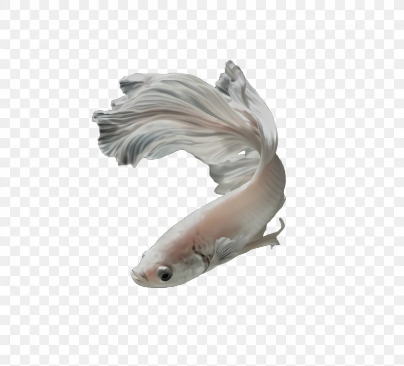 Fish Koi Tail Animal Figure, PNG, 2100x1904px, Fish, Animal Figure, Koi, Tail Download Free