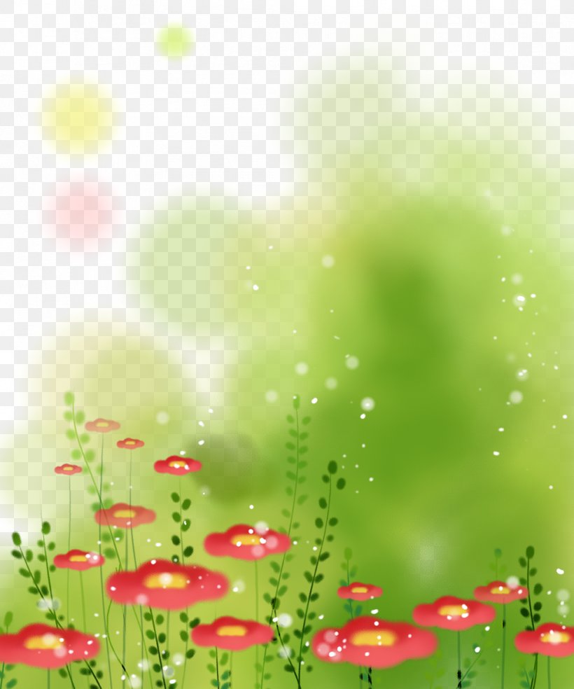 Flower Pattern, PNG, 992x1191px, Flower, Chemical Element, Creative Work, Designer, Field Download Free