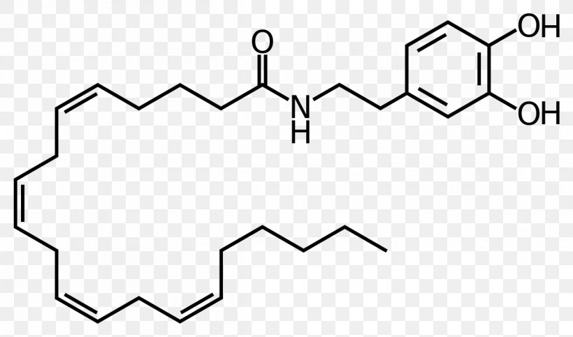 Adrenaline Neurotransmitter Agonist Norepinephrine Clip Art, PNG, 1200x708px, Adrenaline, Agonist, Area, Black And White, Cannabinoid Download Free