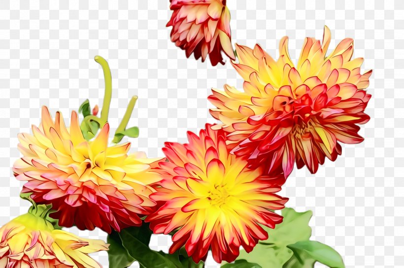 Artificial Flower, PNG, 2452x1632px, Watercolor, Artificial Flower, China Aster, Cut Flowers, Dahlia Download Free