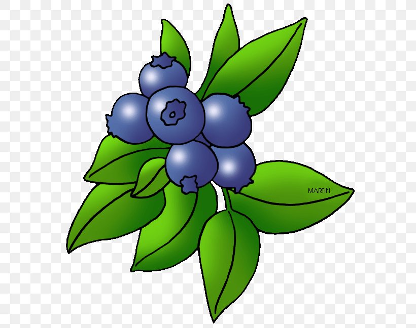 Blueberry Blackberry Fruit Clip Art, PNG, 597x648px, Berry, Artwork, Bilberry, Blackberry, Blueberry Download Free
