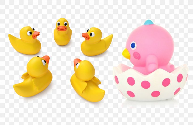Little Yellow Duck Project Toy Rubber Duck, PNG, 1154x750px, Duck, Animation, Bathing, Beak, Bird Download Free