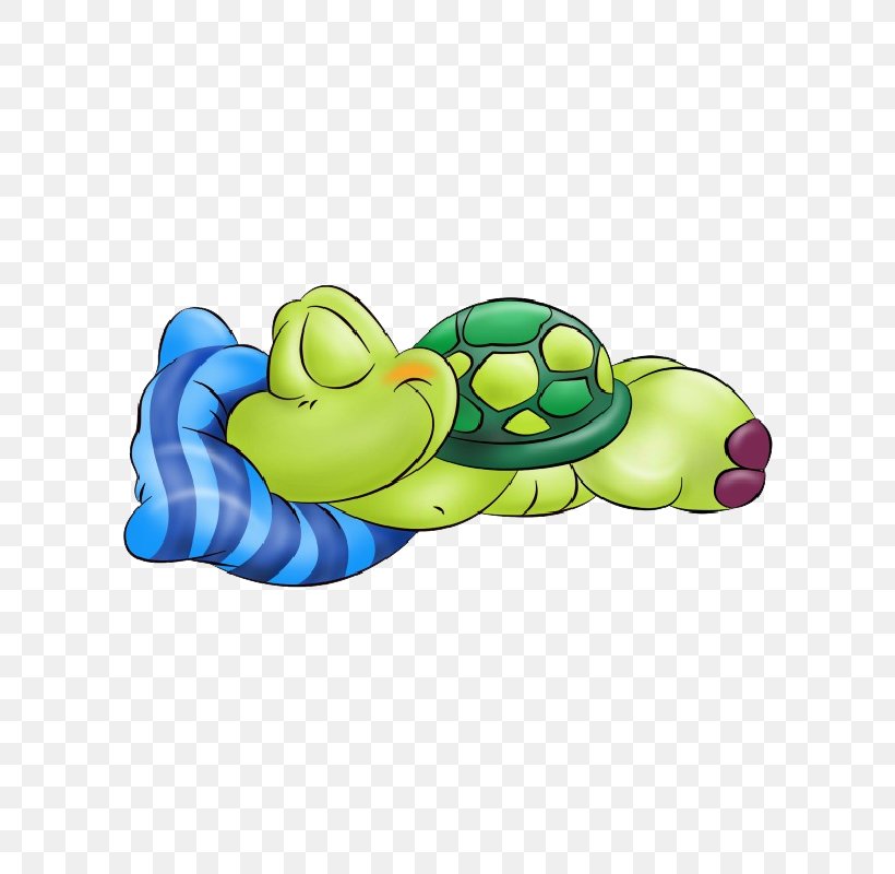 Turtle Cartoon Sleep Image Royalty-free, PNG, 800x800px, Turtle, Cartoon, Comics, Drawing, Humour Download Free