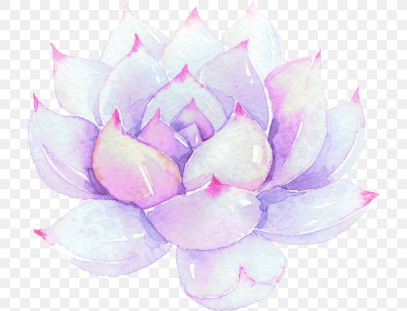 Watercolor Painting Sticker, PNG, 710x626px, Watercolor Painting, Cut Flowers, Flower, Ink, Lilac Download Free