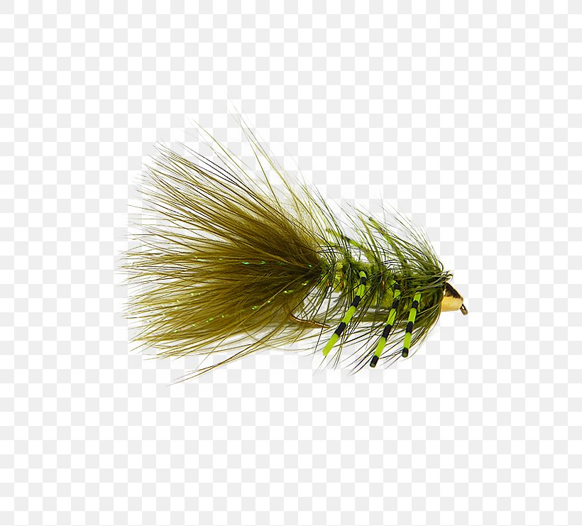 Artificial Fly Woolly Bugger Fly Fishing Bead, PNG, 555x741px, Artificial Fly, Bead, Clothing, Clothing Accessories, Fish Hook Download Free