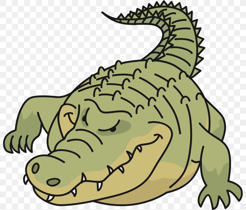 Crocodiles Alligators Clip Art, PNG, 800x702px, Crocodile, Alligators, Amphibian, Animal, Animal Figure Download Free