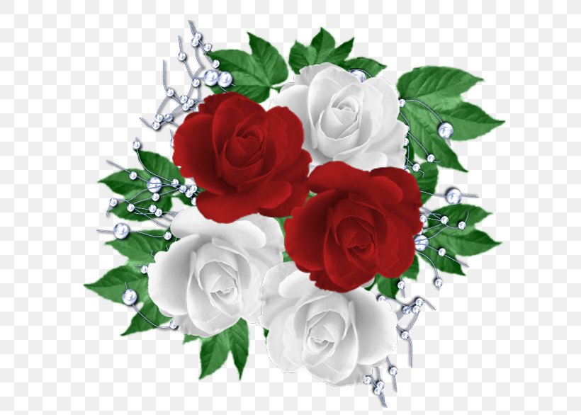 Garden Roses White Red Floribunda, PNG, 616x586px, Garden Roses, Artificial Flower, Blue, Cut Flowers, Drawing Download Free