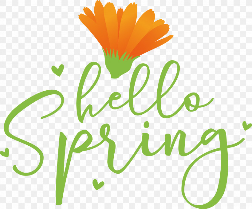 Hello Spring Spring, PNG, 2999x2490px, Hello Spring, Cut Flowers, Daisy Family, Floral Design, Flower Download Free
