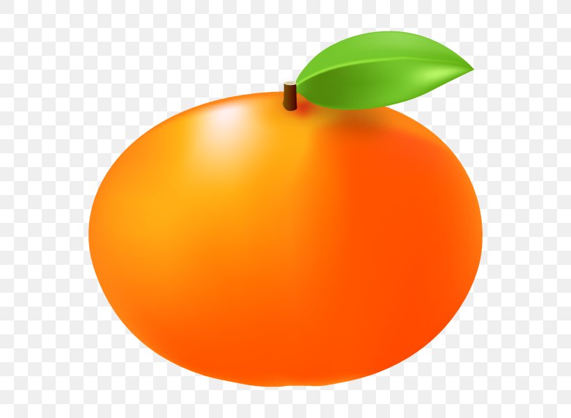 Japanese Persimmon Tangerine Illustration Fruit Mandarin Orange, PNG, 600x600px, Japanese Persimmon, Apple, Citrus, Clementine, Data Download Free