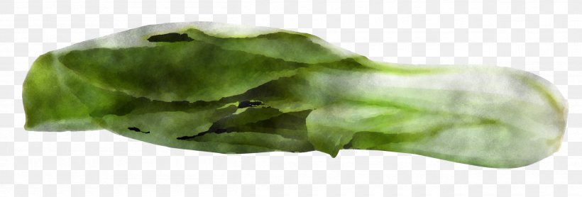 Leaf Leaf Vegetable Plant Vegetable Spinach, PNG, 2510x853px, Leaf, Celtuce, Choy Sum, Flower, Food Download Free