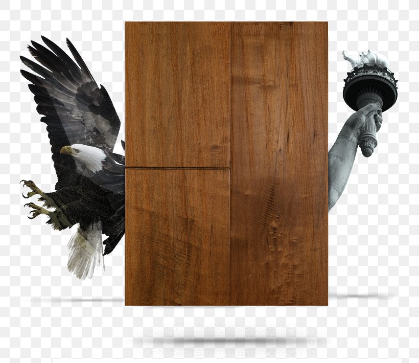 Wood Flooring Tile United States, PNG, 764x710px, Wood Flooring, Bird Of Prey, Engineered Wood, Floor, Flooring Download Free