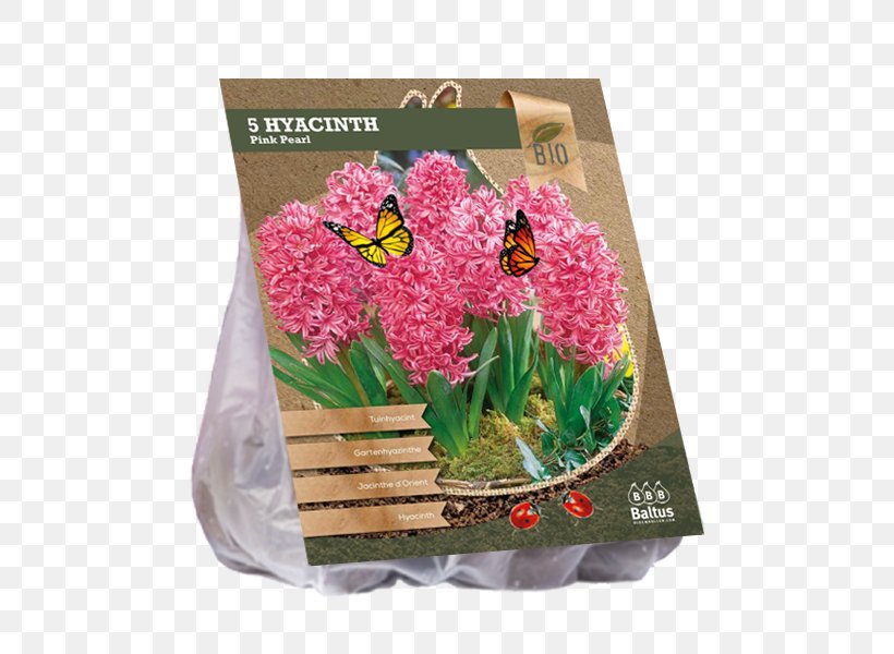 Artificial Flower Grape Hyacinth Flowerpot Magenta, PNG, 600x600px, Artificial Flower, Album, Flower, Flowering Plant, Flowerpot Download Free