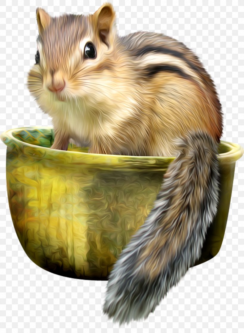 Eastern Chipmunk Squirrel Mississippi River Siberian Chipmunk Least Chipmunk, PNG, 940x1280px, Eastern Chipmunk, Animal, Cat, Chipmunk, Fauna Download Free