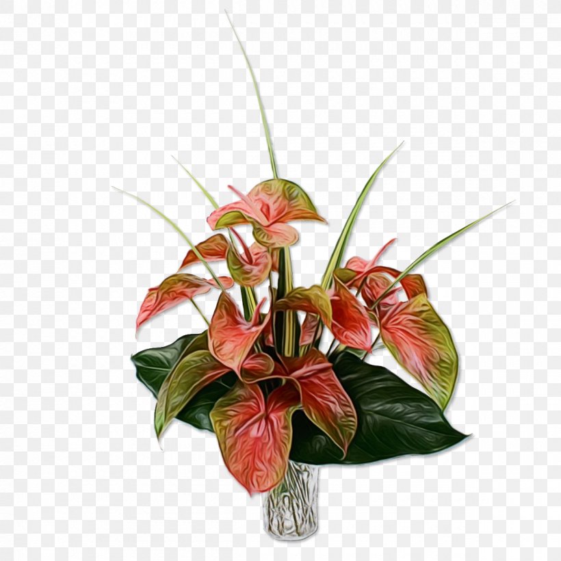 Painter's-palette Flower Bouquet Cut Flowers Plants, PNG, 1200x1200px, Painterspalette, Anthurium, Artificial Flower, Arumlily, Arums Download Free