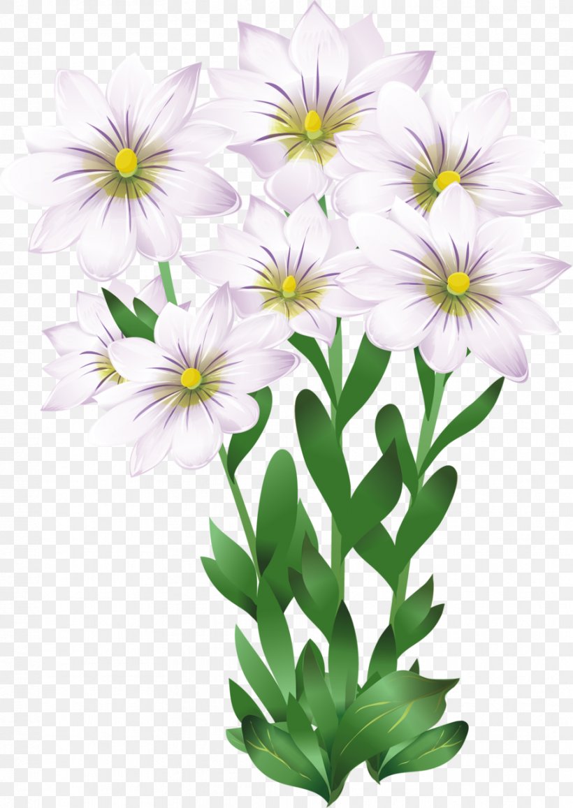 Photography Flower Clip Art, PNG, 907x1280px, Photography, Albom, Annual Plant, Art, Aster Download Free