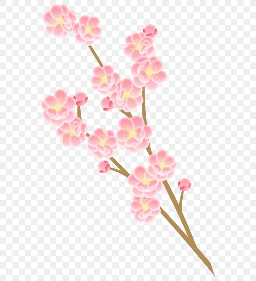 Photography Flower Peach Cherry Blossom, PNG, 600x900px, Photography, Amana Holdings Inc, Blossom, Book Illustration, Branch Download Free