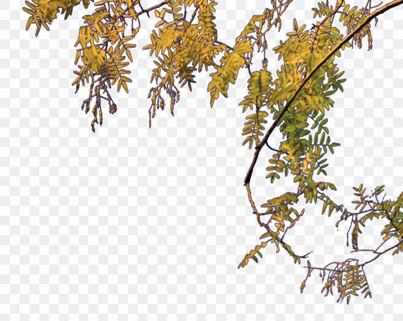 Tree Clip Art, PNG, 1280x1023px, Tree, Branch, Flora, Flowering Plant, Information Download Free